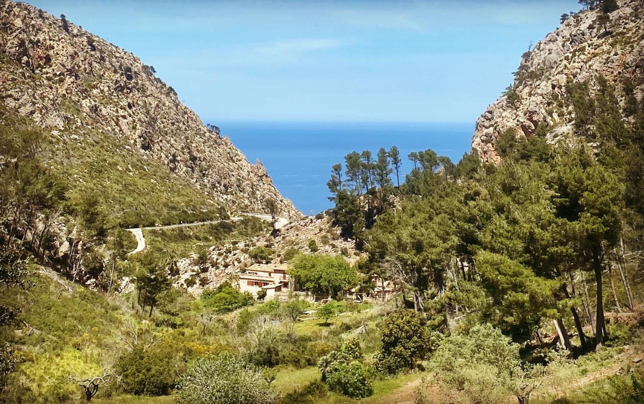 Finca Ses Fontanelles Andraitx Kültér fotó