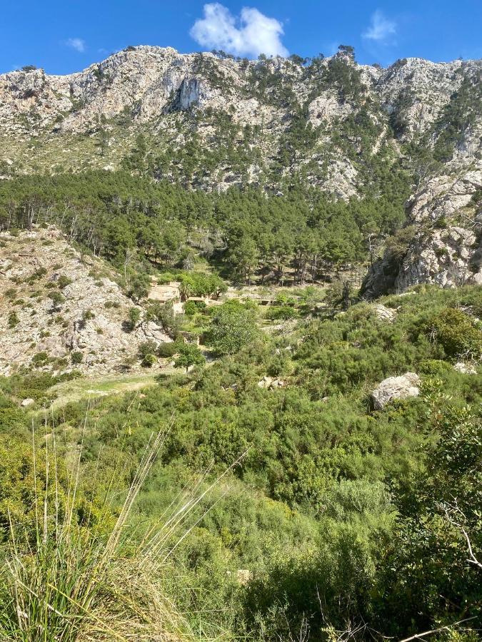 Finca Ses Fontanelles Andraitx Kültér fotó
