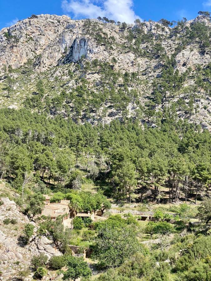 Finca Ses Fontanelles Andraitx Kültér fotó