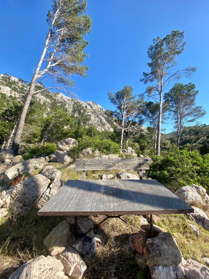 Finca Ses Fontanelles Andraitx Kültér fotó