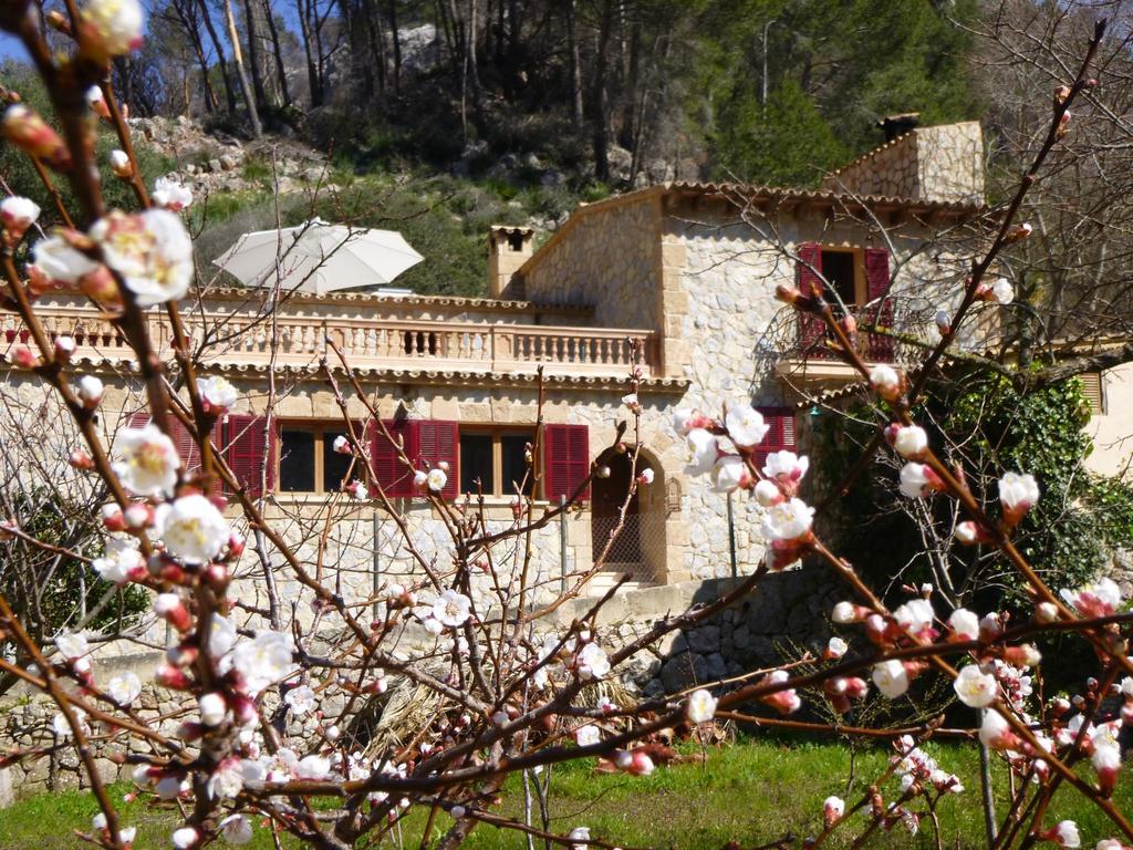 Finca Ses Fontanelles Andraitx Kültér fotó