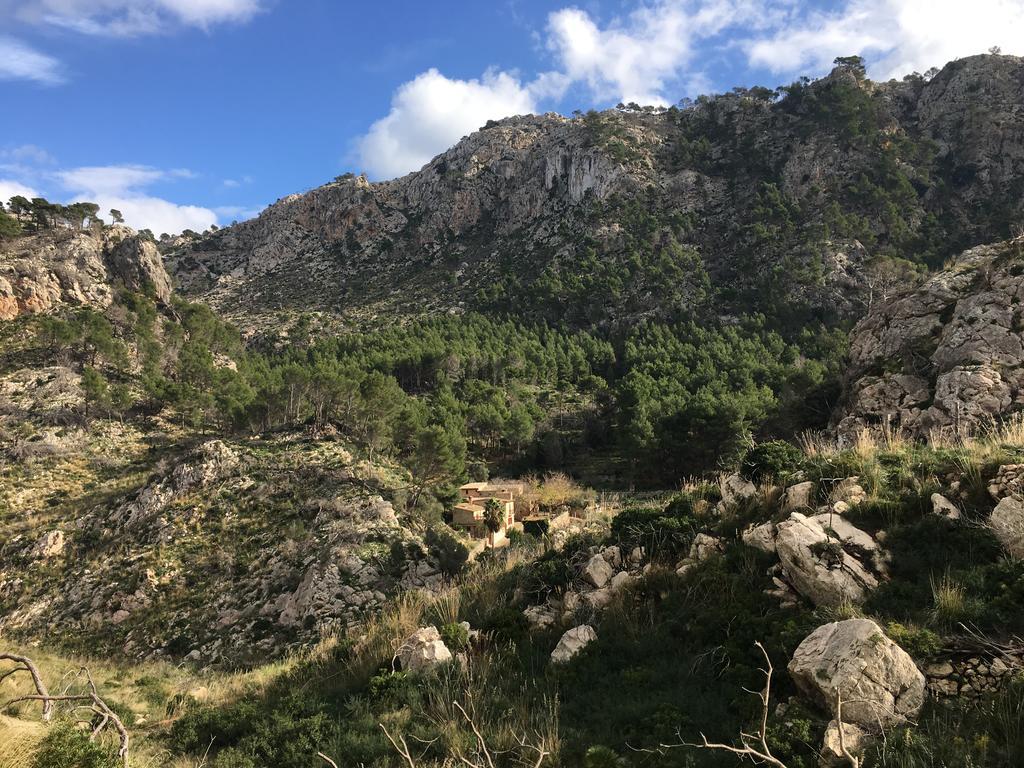 Finca Ses Fontanelles Andraitx Kültér fotó