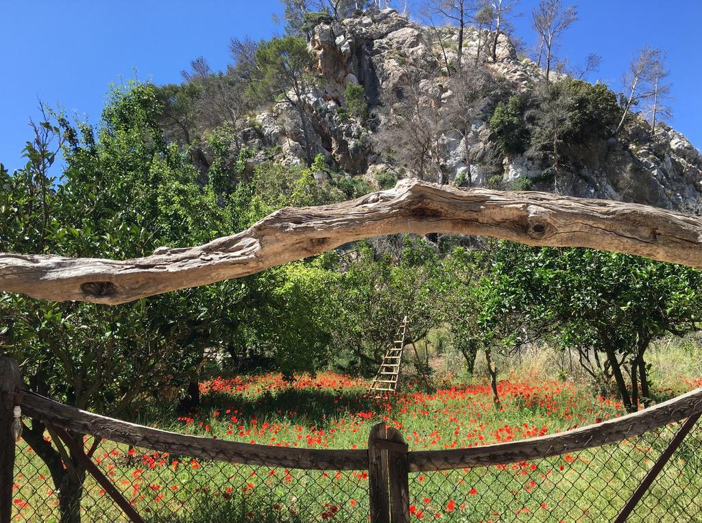 Finca Ses Fontanelles Andraitx Kültér fotó