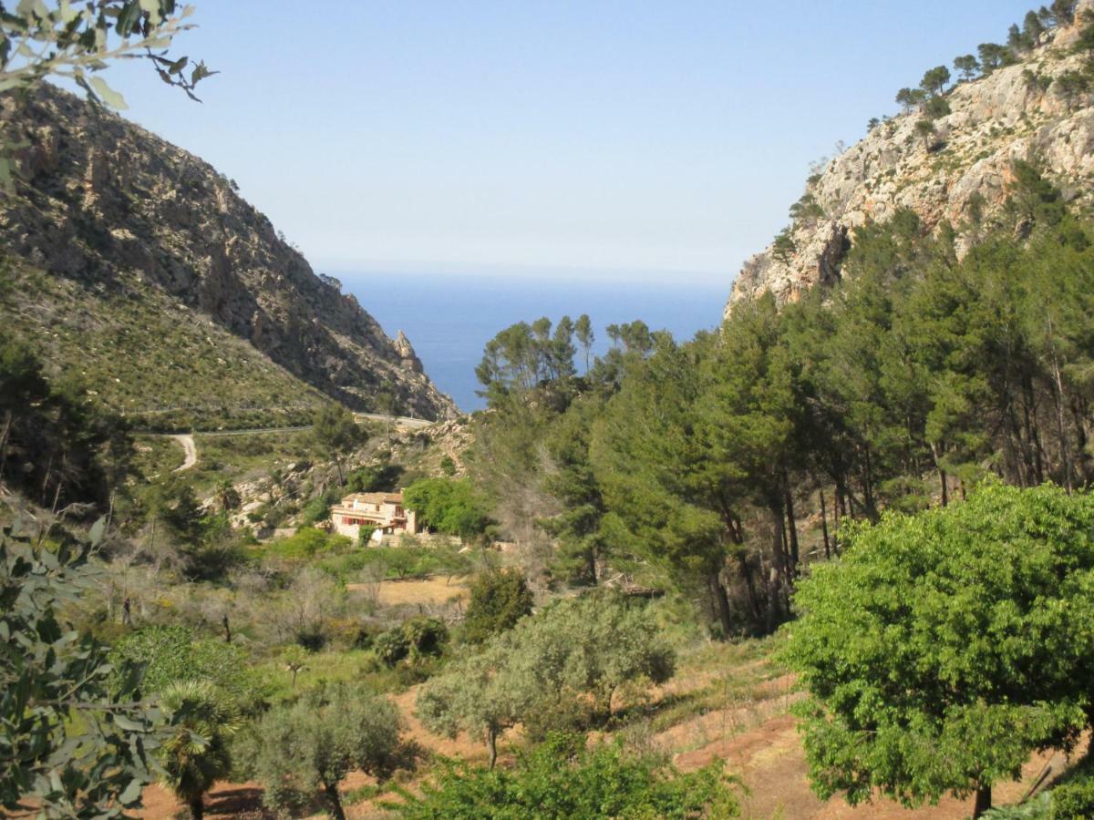 Finca Ses Fontanelles Andraitx Kültér fotó